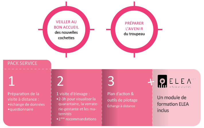 adopte une cochette pack services