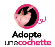 Adopte une cochette3