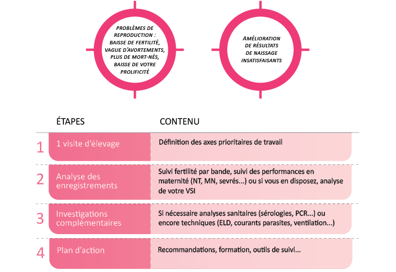 améliorer les performances de repro pack services