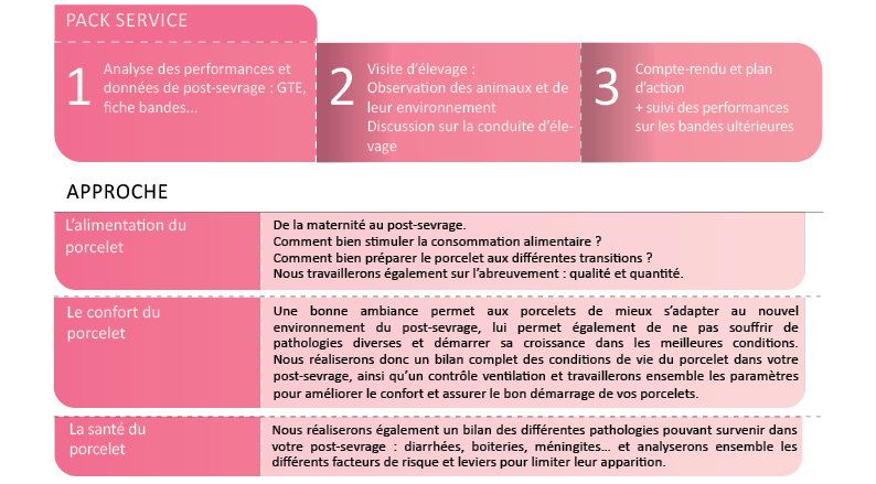 démarrage porcelet PS pack services