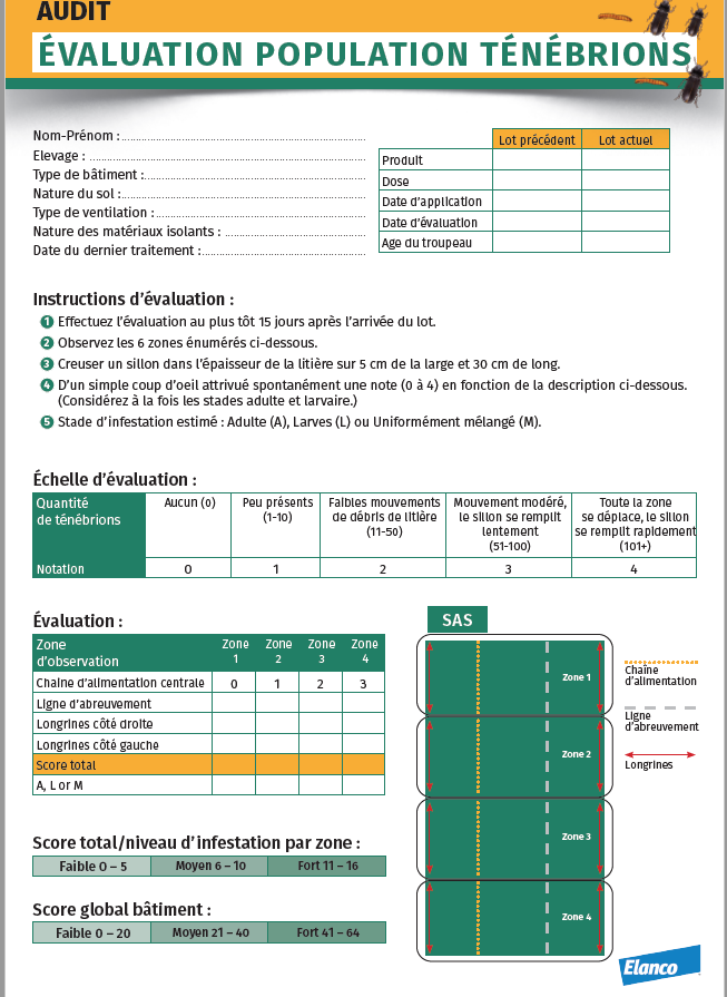 evaluation population ténébrions