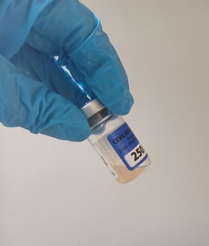 Image3