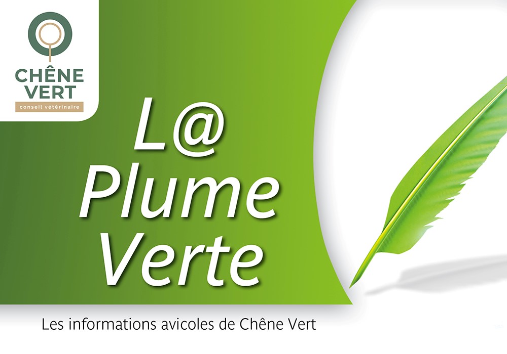 L@ Plume Verte-bandeau-2021-1000x700px-V2