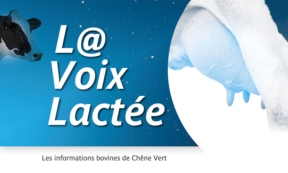 LaVoixLactee-Bandeau-1000x600px