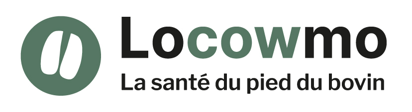 Locowmo-logo-rvb