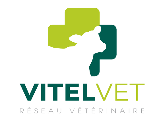 LOGO_VITELVET__QUADRI__cut-removebg