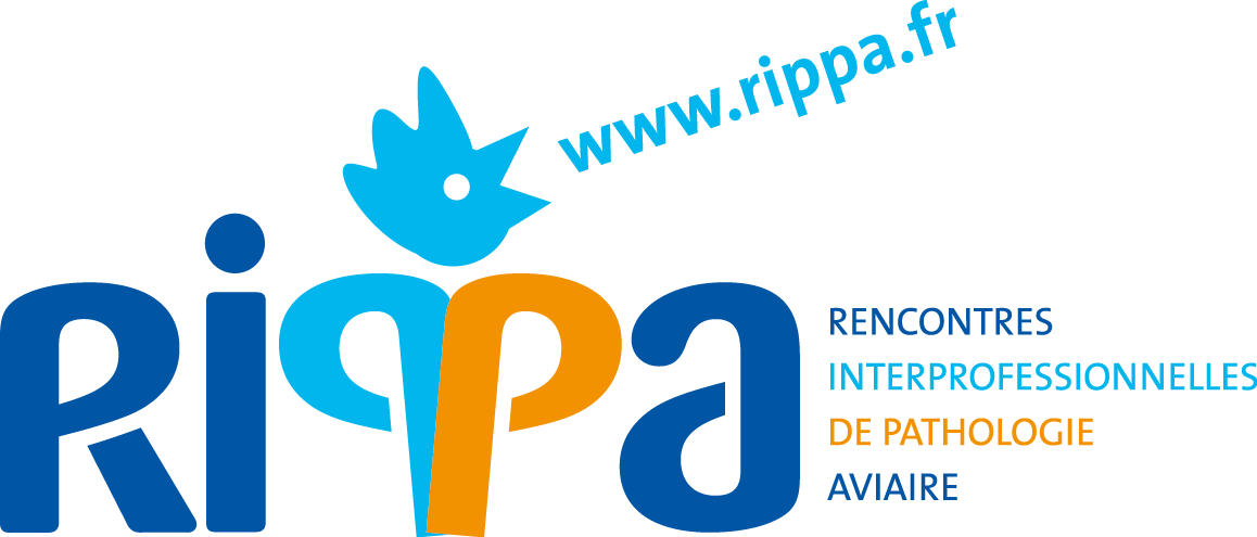 logo_RIPPA quadri
