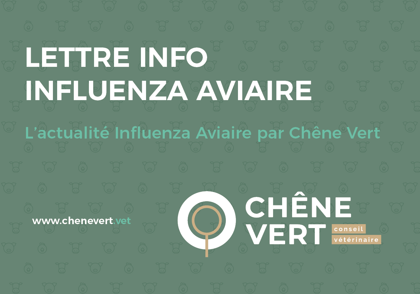 Newsletter influenza carrée pour blog