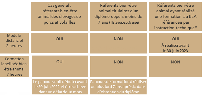 parcours de formation BEA.PNG