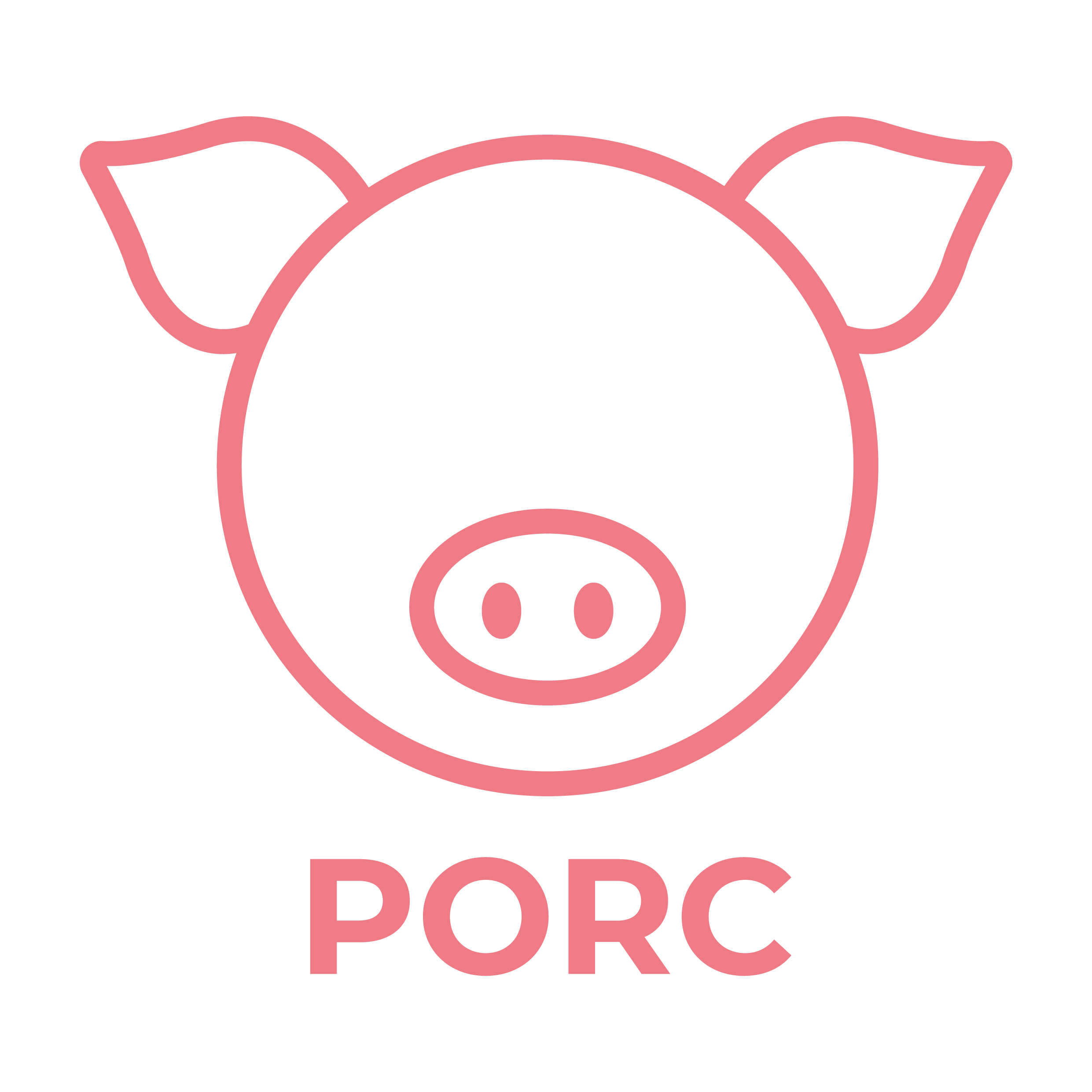 PICTO-COULEURS-RVB_PORC