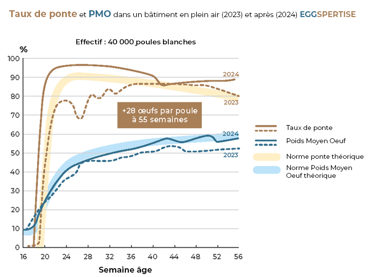 taux de ponte etPMO