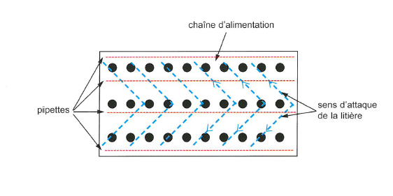 technique de vidange du poulailler