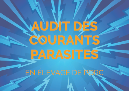 Audit des courants parasites en élevage de porc