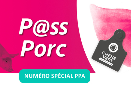 bandeau spécial PPA site