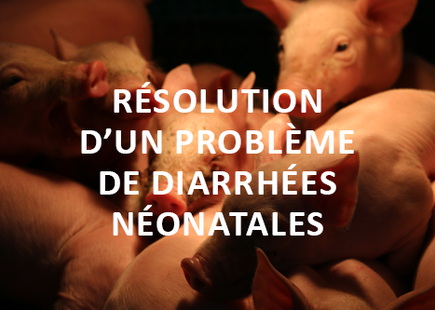 Résolution d'un problème de diarrhées néonatales