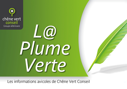 L@ Plume Verte-bandeau-1000x700px