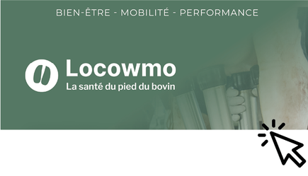 Locowmo