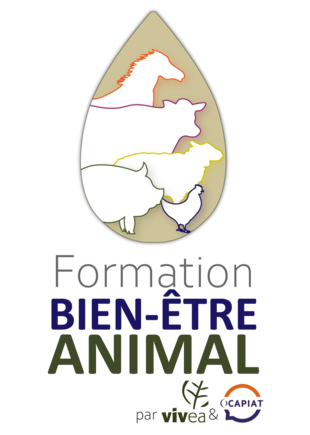 logo-bea vivea