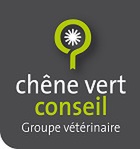 logo CVC color