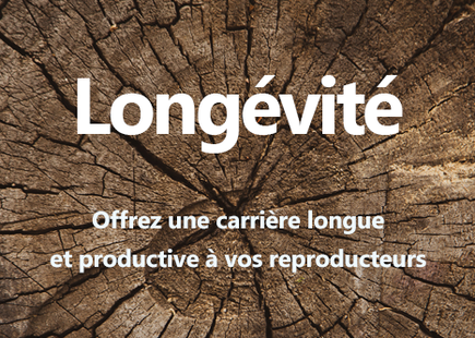 Longévité