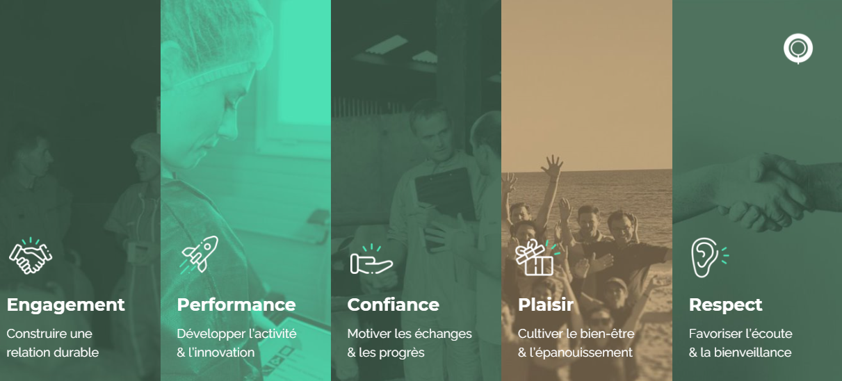 VALEURS CV