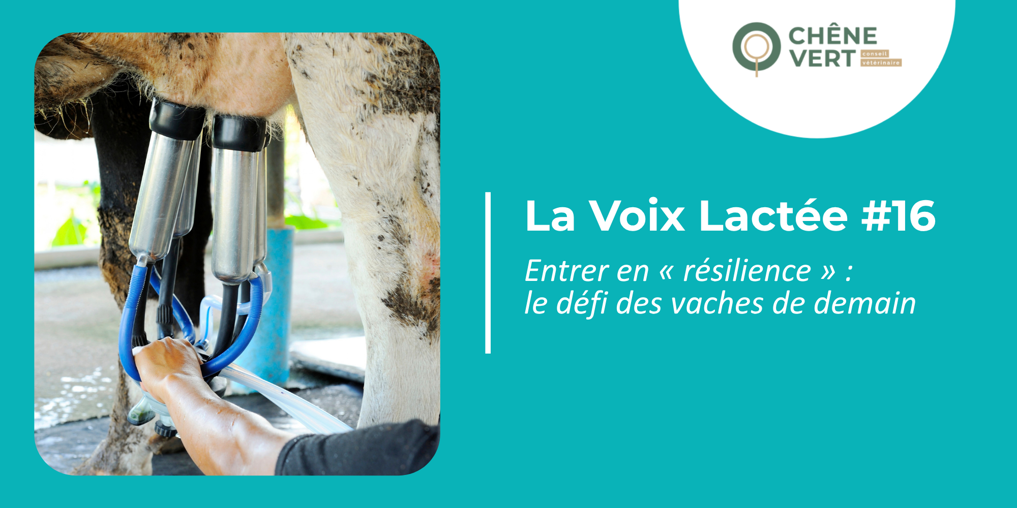 VISUELS VOIX LACTEE