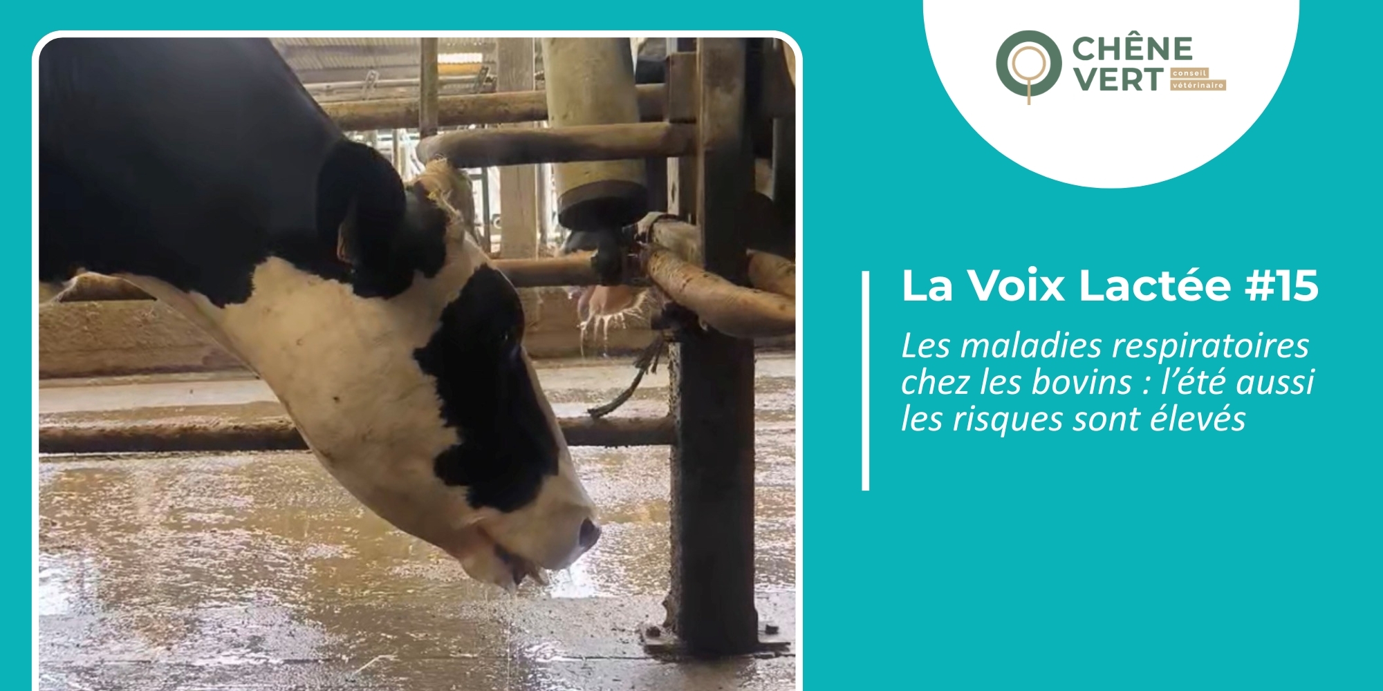 VOIX LACTEE