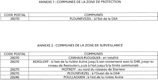 ZP ZS Plounevezel 29